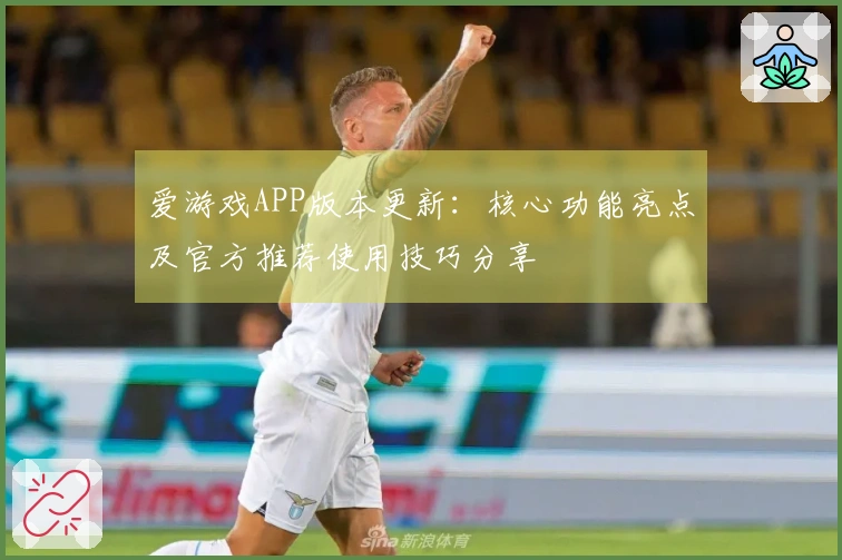 爱游戏APP版本更新：核心功能亮点及官方推荐使用技巧分享