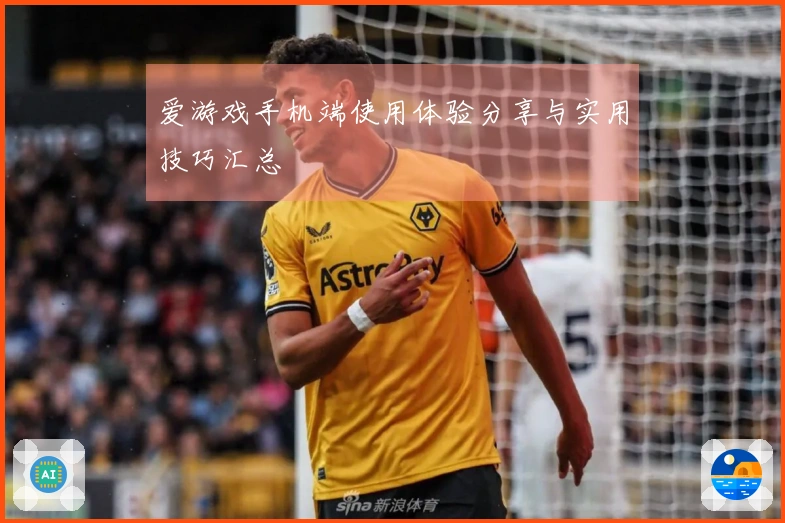 爱游戏手机端使用体验分享与实用技巧汇总